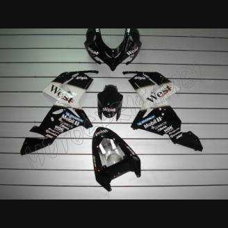 Carenados en abs pintados para la calle compatible con Kawasaki ZX10R 2004 - 2005 - MXPCAV1694