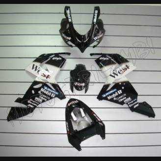 Carenados en abs pintados para la calle compatible con Kawasaki ZX10R 2004 - 2005 - MXPCAV1694