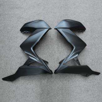 Lackierte Straße Verkleidung auf ABS kompatibel mit Kawasaki ZX Ninja 300 2013 - 2017 - MXPCAV12725
