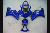 Lackierte Straße Verkleidung auf ABS kompatibel mit Kawasaki ZX6R 636 2003 - 2004 - MXPCAV1731