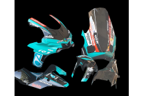 Carenado Racing Pintado Yamaha R1 2020 + tornillos, tornillos rapidos -MXPCRV12771 2