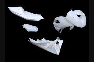 Race Package Kawasaki Zx6R 2009 - 2012 : Carénages + Crochets rapides + Vis - MXPCRD11586