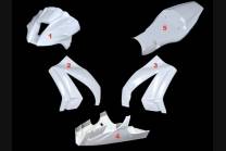 Verkleidungen Kawasaki Zx10R 2011 - 2015 vorderer ohne Hoecker Kawasaki Zx10R 2011 - 2015 - MXPCRD6004