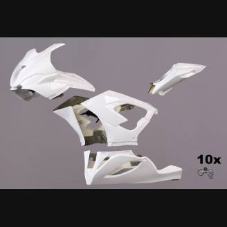 Carenado Racing Pintado Bmw S1000 RR 2019 -2020 - MXPCRV12633