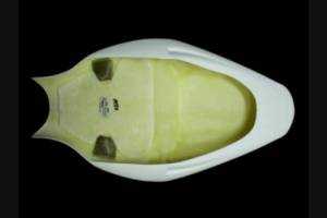 Codone Triumph Daytona 675 2006 2012 - MXPCRD1850