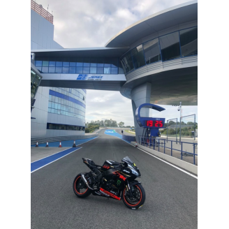 carenado barnizado Kawasaki Zx10R 2016 - 2020 + tornillos, tornillos rapidos MXPCRV13157