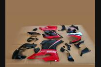 Lackierte Straße Verkleidung auf ABS kompatibel mit Ducati 1299 Panigale - MXPCAV12735 2