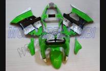 Lackierte Straße Verkleidung auf ABS kompatibel mit Kawasaki ZX6R 2000 - 2002 - MXPCAV1899