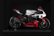 Carene Racing Verniciate Yamaha R1 2015 - 2019 - MXPCRV13865 2