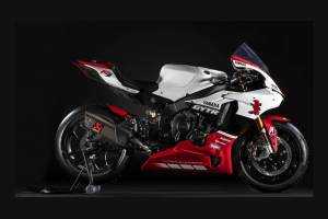 Painted Race Fairings Yamaha R1 2015 - 2019 + screws, fasteners MXPCRV13932