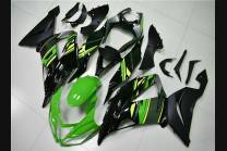 Lackierte Straße Verkleidung auf ABS kompatibel mit Kawasaki ZX6R 636 2013 - 2018 - MXPCAV13940