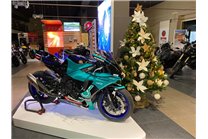 Carenado Racing Pintado Yamaha R1 2015 - 2019 - MXPCRV12929