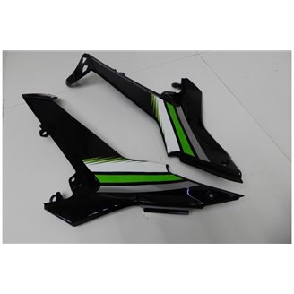 Lackierte Straße Verkleidung auf ABS kompatibel mit Kawasaki Ninja 650 2017 - 2019 - MXPCAV14275