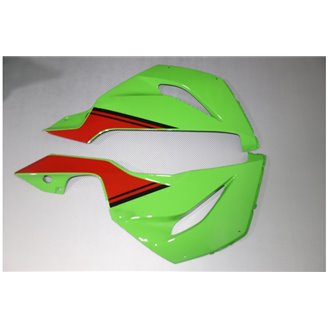 Carenage en abs pour la roue avec peinture compatible avec Kawasaki ZX6R 636 2013 - 2018 - MXPCAV14277