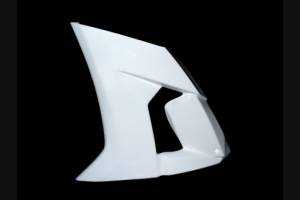 Carénages Kawasaki Zx10R 2008 - 2010 sans Pare-boue - MXPCRD2127