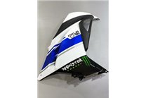 Painted street fairings in abs compatible with Kawasaki ZX Ninja 300 2013 - 2017 - MXPCAV14287 2