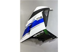 Lackierte Straße Verkleidung auf ABS kompatibel mit Kawasaki ZX Ninja 300 2013 - 2017 - MXPCAV14287