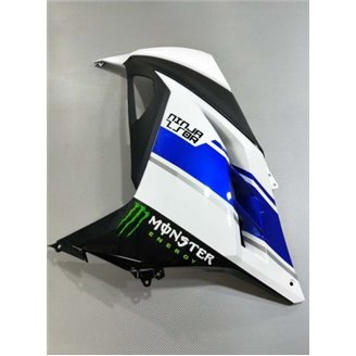 Carenage en abs pour la roue avec peinture compatible avec Kawasaki ZX Ninja 300 2013 - 2017 - MXPCAV14287