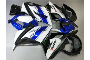 Carenage en abs pour la roue avec peinture compatible avec Kawasaki ZX Ninja 300 2013 - 2017 - MXPCAV14287