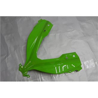 Lackierte Straße Verkleidung auf ABS kompatibel mit Kawasaki ZX Ninja 300 2013 - 2017 - MXPCAV14287