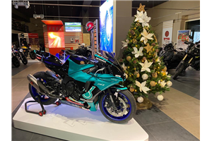 Carenado Racing Pintado Yamaha R1 2020 - 2022 + tornillos, tornillos rapidos -MXPCRV14250