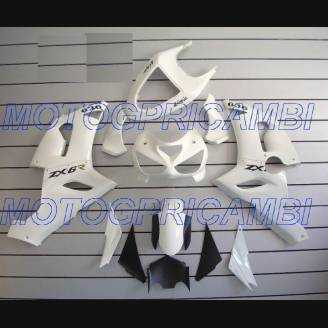 Carene stradali in abs verniciate compatibili con Kawasaki ZX6R 636 2005 - 2006 - MXPCAV2174