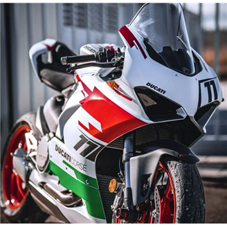 Lackierte Straße Verkleidung auf ABS kompatibel mit Ducati Panigale V4 V4S 2018 - 2019 - MXPCAV14579