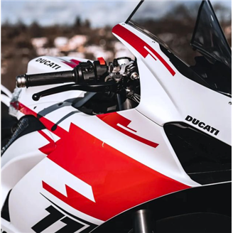 Carenage en abs pour la roue avec peinture compatible avec Ducati Panigale V4 V4S 2018 - 2019 - MXPCAV14579