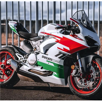 Lackierte Straße Verkleidung auf ABS kompatibel mit Ducati Panigale V4 V4S 2018 - 2019 - MXPCAV14579