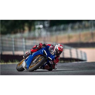 Carenage en abs pour la roue avec peinture compatible avec Ducati Panigale V4 V4S 2018 - 2019 - MXPCAV14723