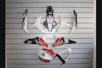 Carenados en abs pintados para la calle compatible con Honda CBR 600 RR 2007 - 2008 - MXPCAV2276 2