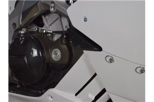 Race Package for Aprilia RSV4 2015 - 2020 : Complete and racing fairings + Fasteners + Screws - MXPCRD11571