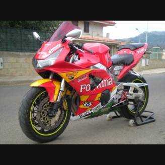 Carenados en abs pintados para la calle compatible con Honda Cbr 954 2002 - 2003 - MXPCAV2285