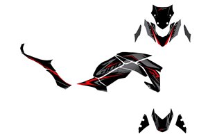 Kit de pegatinas compatible con per KAWASAKI Z900 2017 - 2019 - MXPKAD15354
