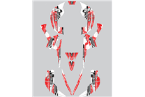 Aufkleber Satz kompatibel mit per CAN AM RENEGADE 500 570R 800R 850R 800X 1000R XXC 2005 - MXPKAD14957