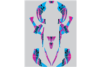 Kit adesivi compatibile con per CAN AM RENEGADE 500 570R 800R 850R 800X 1000R XXC 2005 - MXPKAD14957