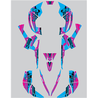 Kit de pegatinas compatible con per CAN AM RENEGADE 500 570R 800R 850R 800X 1000R XXC 2005 - MXPKAD14957