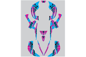 Kit Autocollants compatible avec per CAN AM RENEGADE 500 570R 800R 850R 800X 1000R XXC 2005 - MXPKAD14957