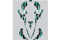 Kit adesivi compatibile con per CAN AM RENEGADE 500 570R 800R 850R 800X 1000R XXC 2005 - MXPKAD14957