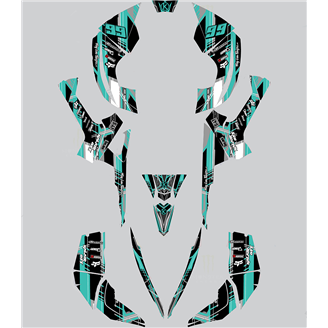 Kit de pegatinas compatible con per CAN AM RENEGADE 500 570R 800R 850R 800X 1000R XXC 2005 - MXPKAD14957