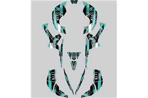 Aufkleber Satz kompatibel mit per CAN AM RENEGADE 500 570R 800R 850R 800X 1000R XXC 2005 - MXPKAD14957