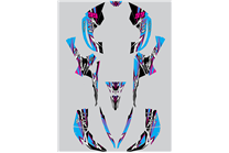 Sticker set compatible with per CAN AM RENEGADE 500 570R 800R 850R 800X 1000R XXC 2005 - MXPKAD14957