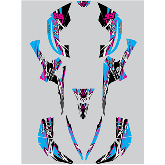 Kit de pegatinas compatible con per CAN AM RENEGADE 500 570R 800R 850R 800X 1000R XXC 2005 - MXPKAD14957