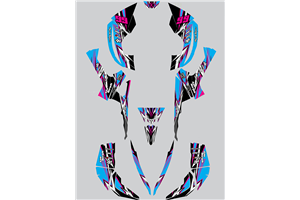 Kit Autocollants compatible avec per CAN AM RENEGADE 500 570R 800R 850R 800X 1000R XXC 2005 - MXPKAD14957