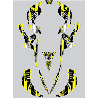 Kit de pegatinas compatible con per CAN AM RENEGADE 500 570R 800R 850R 800X 1000R XXC 2005 - MXPKAD14957