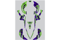 Kit adesivi compatibile con per CAN AM RENEGADE 500 570R 800R 850R 800X 1000R XXC 2005 - MXPKAD14957