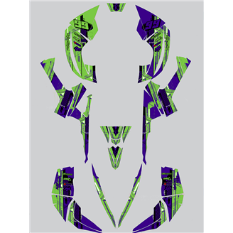 Kit adesivi compatibile con per CAN AM RENEGADE 500 570R 800R 850R 800X 1000R XXC 2005 - MXPKAD14957