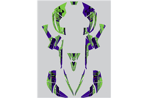 Kit Autocollants compatible avec per CAN AM RENEGADE 500 570R 800R 850R 800X 1000R XXC 2005 - MXPKAD14957