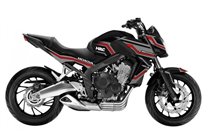 Kit adesivi compatibile con per Honda CB650F 2014 - 2016 - MXPKAD15575