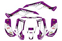 Kit adesivi compatibile con per HONDA TRX 250EX 2001 - 2004 - MXPKAD14959